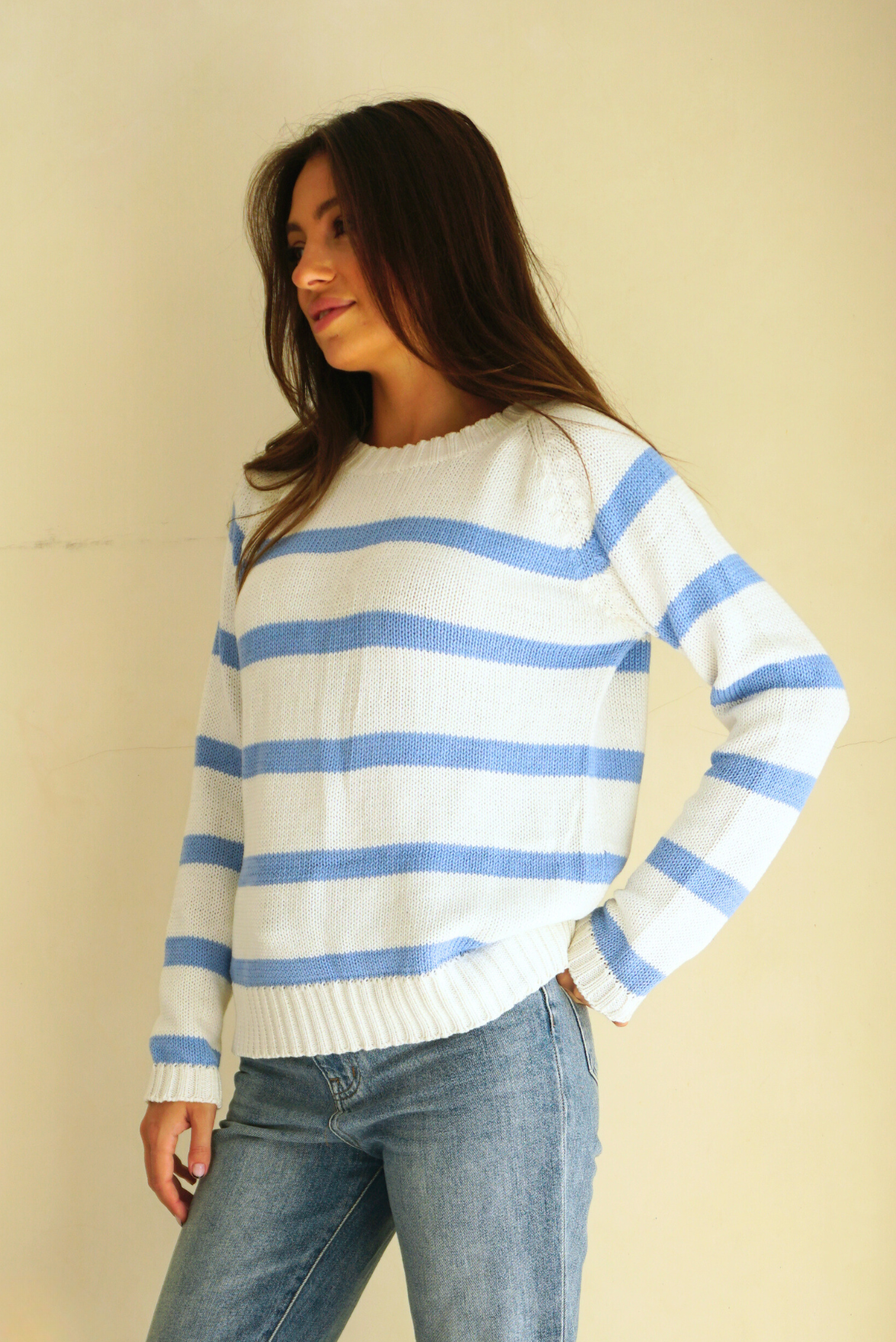 Stripe Sloane Crewneck in Coastal Blue - Image 3